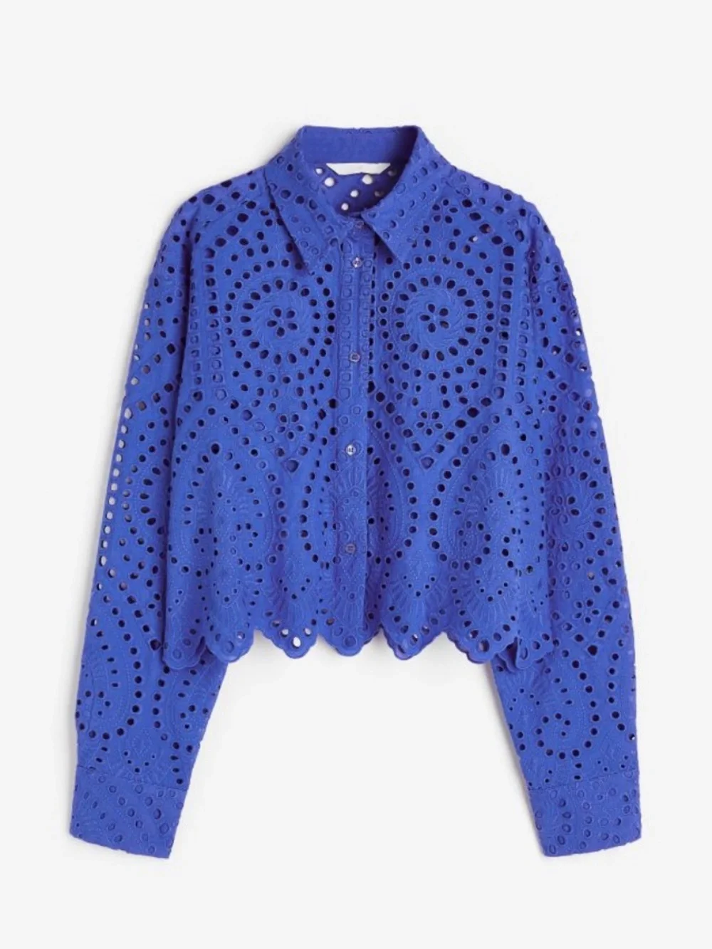 Eyelet Embroidered Button-Front Shirt